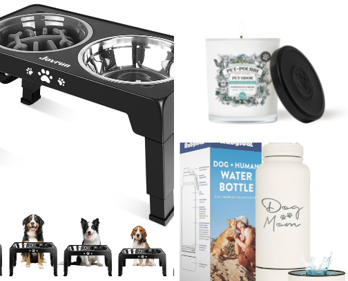 Lab mom essentials 🐾🐶 cover photo collage