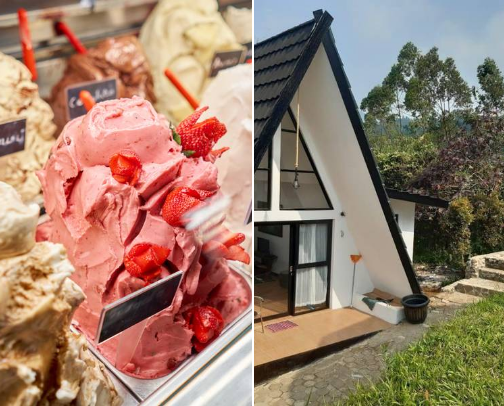 My top local recs cover photo collage