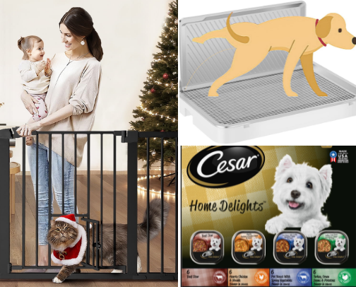 Dog Supplies for everyday care & Training cover photo collage