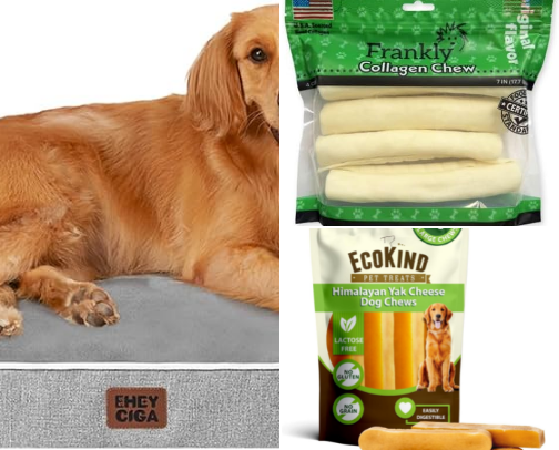 Dog Must Haves cover photo collage
