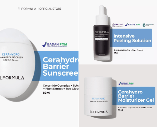 Elformula cover photo collage