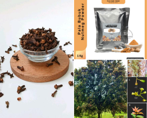 Must-Have Indonesian Spices for Cooking & Wellness cover photo collage