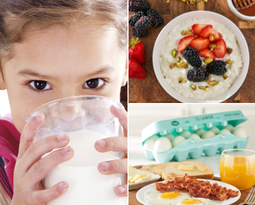 Food Essentials - Fridge + Pantry cover photo collage