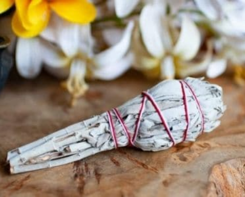 Wellness Rituals cover photo collage