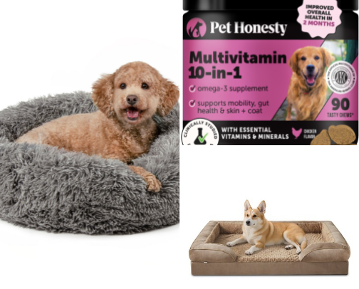 Dog Parents’ Must-Haves 2025: Trending Essentials Every Pup Needs cover photo collage