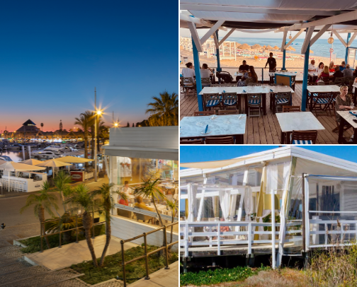 Vilamoura in Summer 🇵🇹 cover photo collage