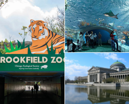 Fun things to do in Chicago and surrounding areas cover photo collage