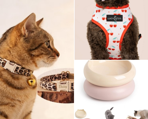 Pet accessories cover photo collage