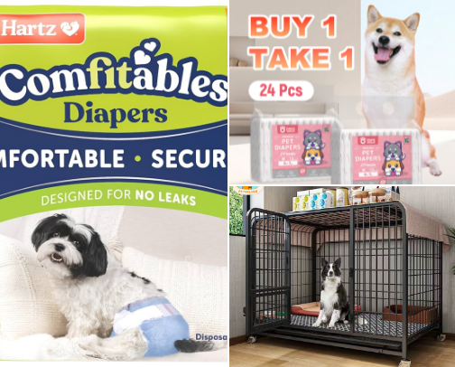 Dog welfare requirements cover photo collage