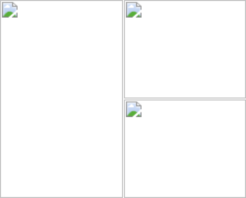 Kiehl’s shopping list cover photo collage