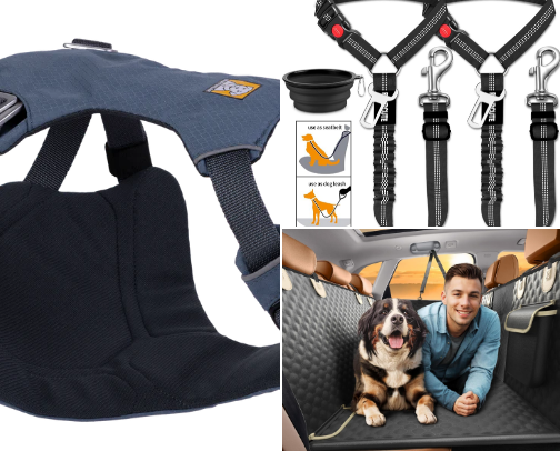 Dog must haves cover photo collage