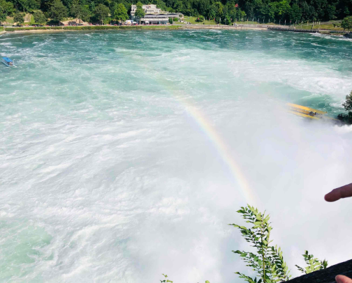 Rhinefalls Rheinfall is very beautiful, and it must be watched if you are traveling through Schafhausen. We took the yellow line boat trip, and the video was taken from the middle rock top. cover photo collage