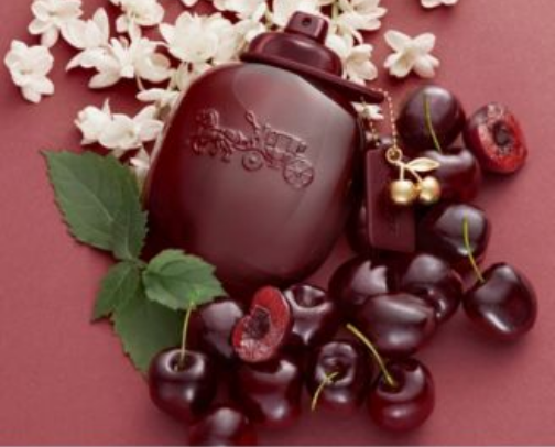 Fragrances That Always Get Compliments cover photo collage