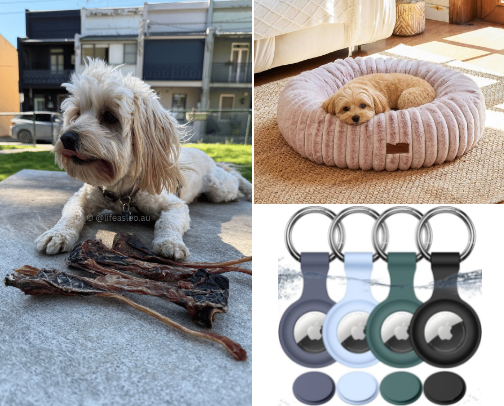 The Cavoodle Puppy Starter Kit: One Year of Trial, Error, and Real Reviews - Aussie Edition cover photo collage