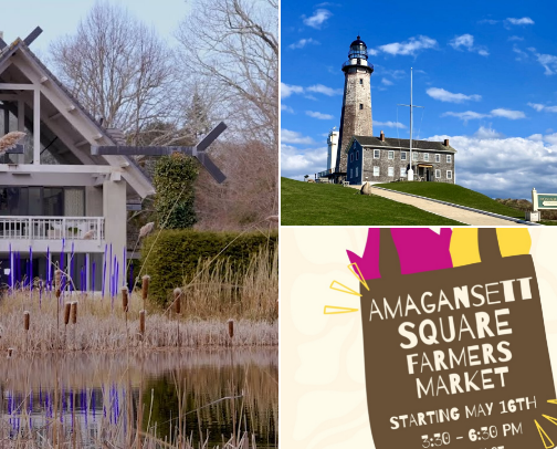 Freeish Outdoor Activities to do in the Hamptons! cover photo collage