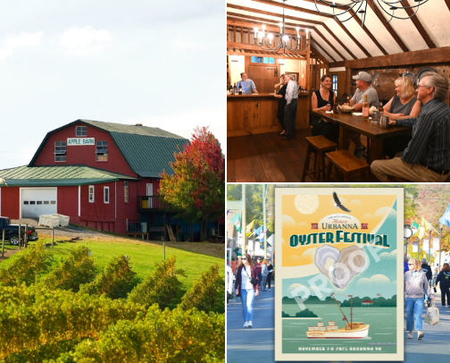 The perfect fall day in VA cover photo collage