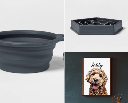 Paws & Play:  Spoiling our Furry Friends! cover photo collage