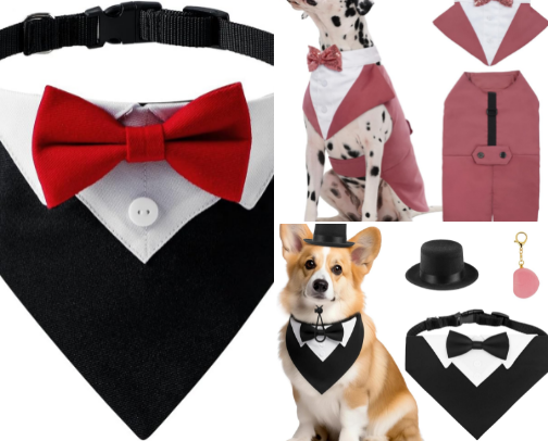 Smart Pets outfit collection cover photo collage