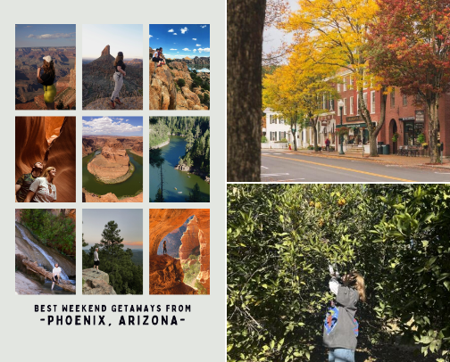🍂 Everything I Love About the Season ✨ cover photo collage