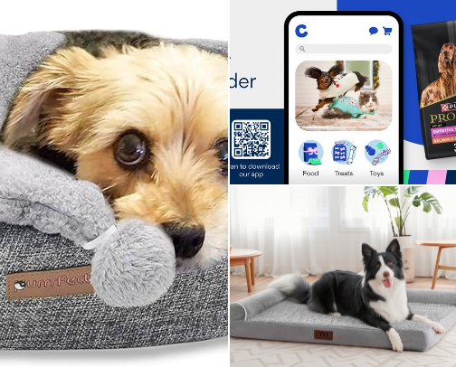 Pets need love cover photo collage