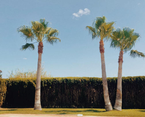 My Go To Makeup Products cover photo collage