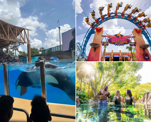 Family Adventures cover photo collage