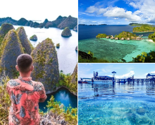 Raja Ampat, Papua: A Mesmerizing Underwater Paradise cover photo collage