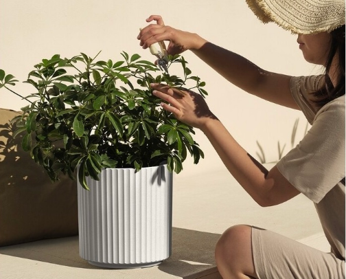 Jumpstart Springtime w/ a Resort-Style Rooftop cover photo collage