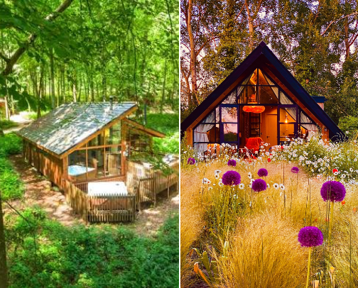 UK Forest Getaways | Perfect to unwind amidst nature. cover photo collage