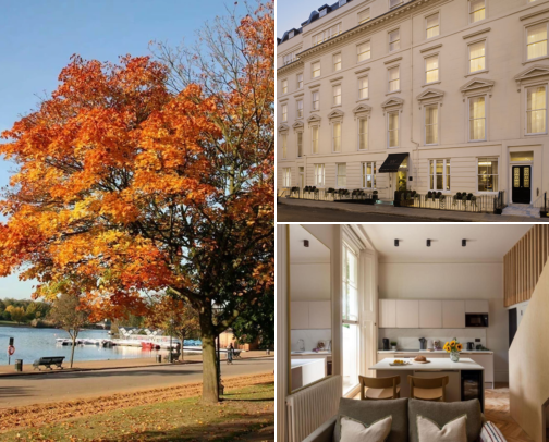 Find a Cosy Spot to Crash in Bayswater, London, United Kingdom cover photo collage