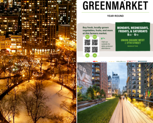 Things To Do In New York, New York cover photo collage