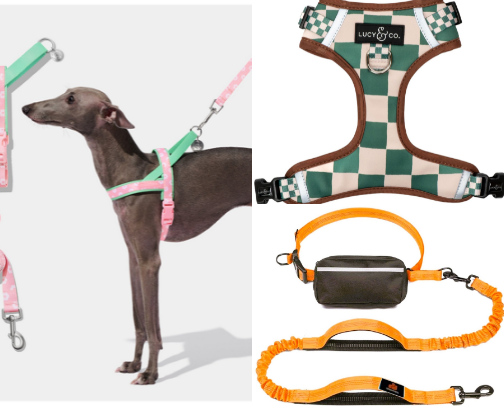 Dog walking essentials🦮 (from a dog walker business owner😉) cover photo collage
