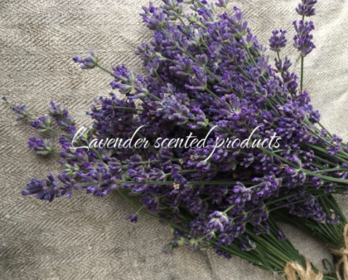 Hygiene products for lavender scent lovers🪻💜✨ cover photo collage