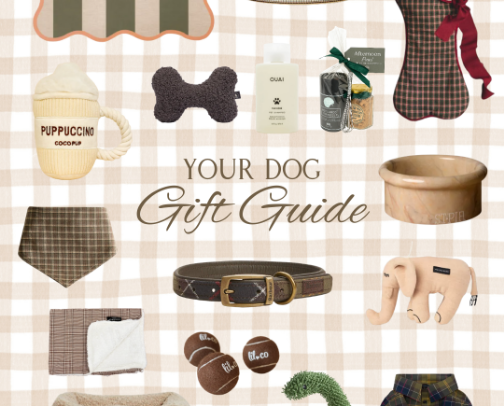 Your Dog Gift Guide cover photo collage
