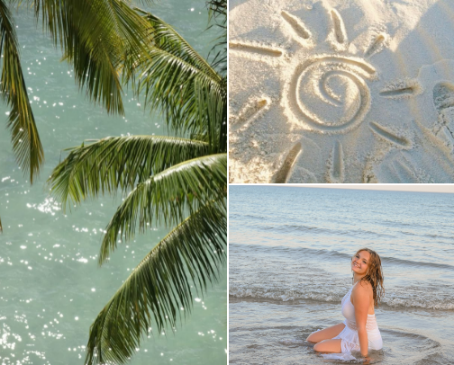 Beachy products 🌊🌴 cover photo collage