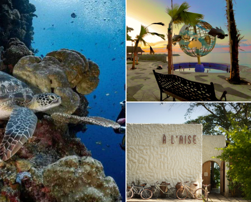 North Celebes, Indonesia cover photo collage