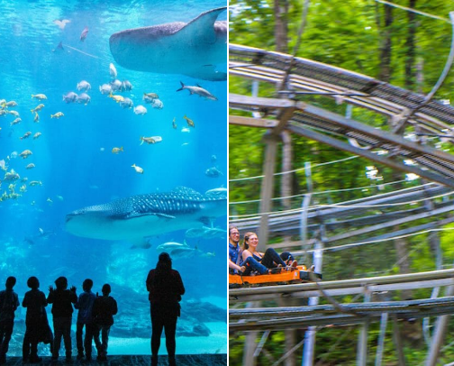 Must Go Georgia Spots 📍 cover photo collage