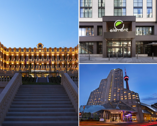 Hotels around the world that get a Gold Star from me⭐️ cover photo collage