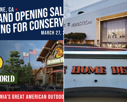 Dog Friendly Retail therapy shopping cover photo collage