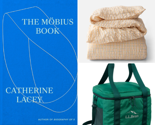 Everything I Got for Christmas 2025 cover photo collage