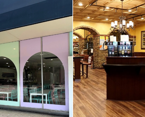 Experience Orlando (outside of the theme parks)✨ cover photo collage