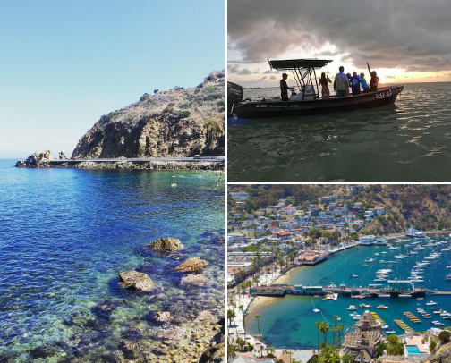 Top Family Fun in Catalina Island, California 2026 Edition: Beaches, Snorkeling, Zip Lines & Island Escapes cover photo collage