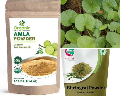 🌿 Ayurvedic Growth Herbs cover photo collage
