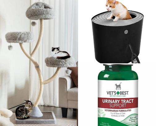 Cat mom Essentials 🐈💗 cover photo collage