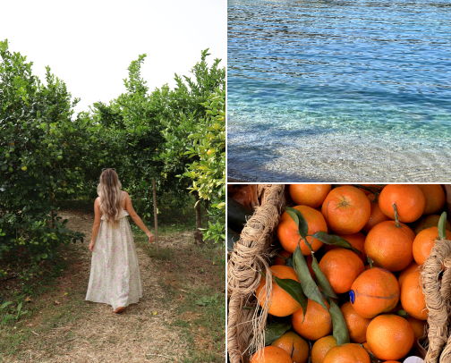 Must See Sights In Mallorca, Spain cover photo collage