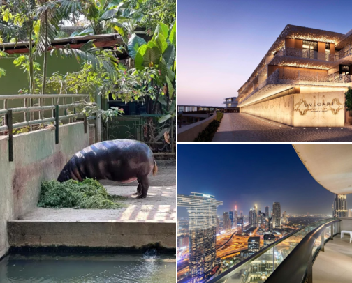 Find a Cosy Spot to Crash in Al Satwa, Dubai, United Arab Emirates cover photo collage