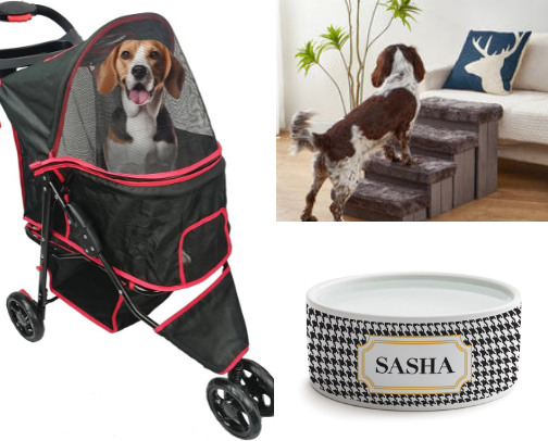 Spoiled dog cover photo collage