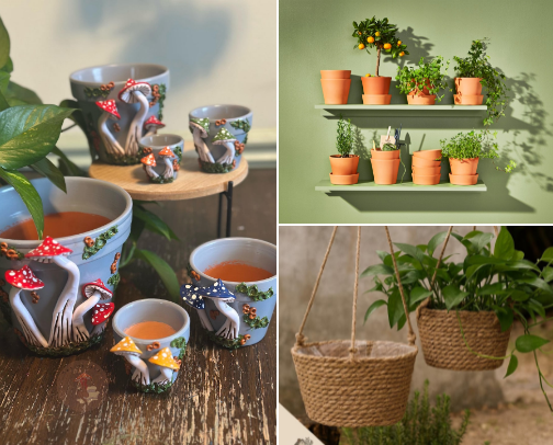 Just one more plant (I swear!) cover photo collage