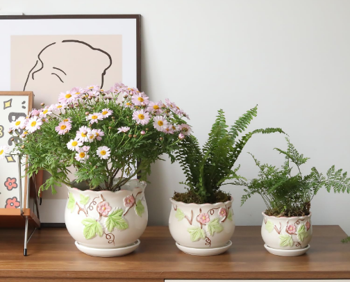 My Home Obsessions: Products I Actually Use and Swear By cover photo collage