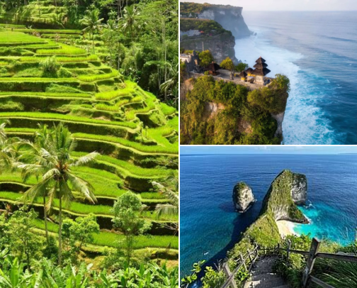 Best Places to Visit in Bali for an Unforgettable Trip cover photo collage